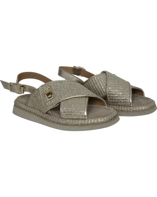 Laura Bellariva Gray Flat Sandals