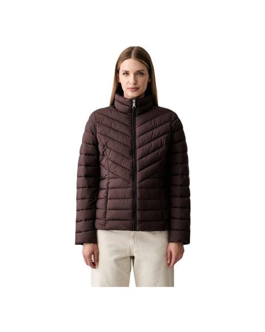 Winter Jackets DKNY en coloris Brown