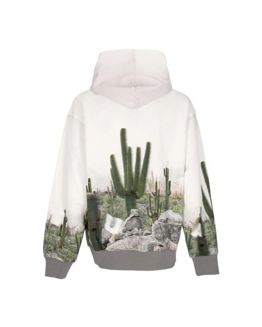 Acupuncture Gray Hoodies for men