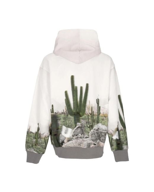 Acupuncture Gray Hoodies for men