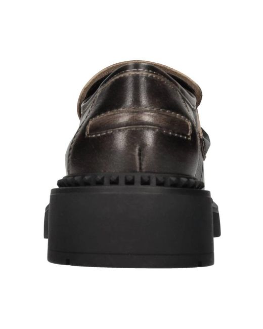 Ash Schoenen ,Zwart ,Platte Schoenen Zwart in het Brown