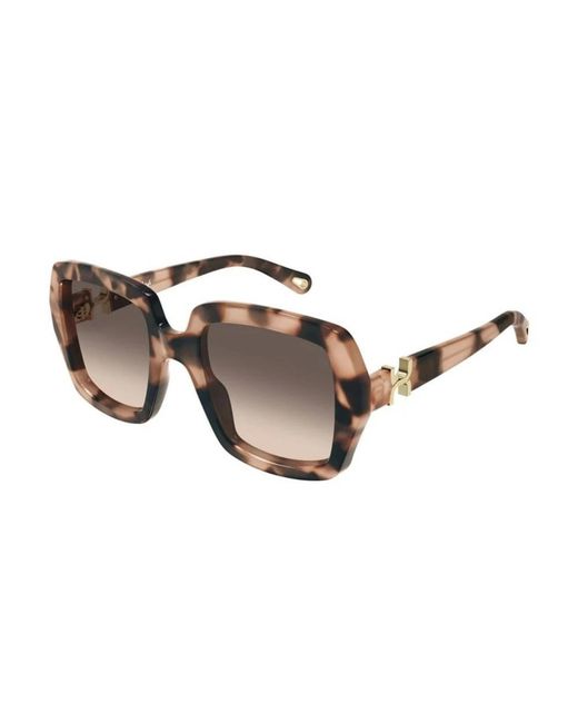 Chloé Brown Sunglasses