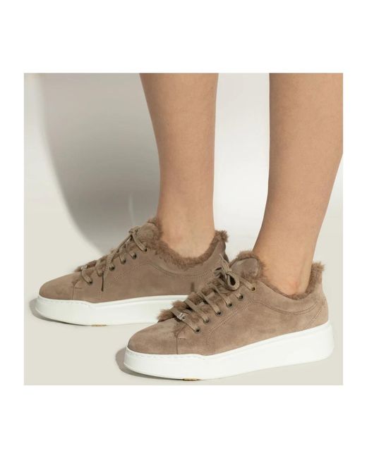 Sneakers Max Mara en coloris Gray