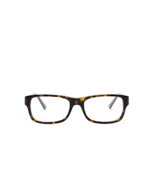 Ray-Ban Brown Glasses