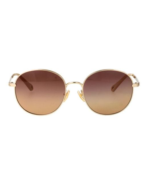 Chloé Brown Sunglasses