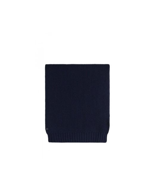 Winter Scarves di Fay in Blue da Uomo