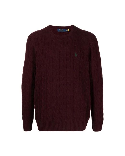 Polo Ralph Lauren Purple Round-Neck Knitwear for men
