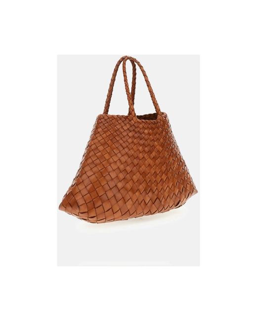 Dragon Diffusion Handbags in het Brown