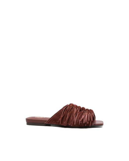 Sliders Ash en coloris Brown