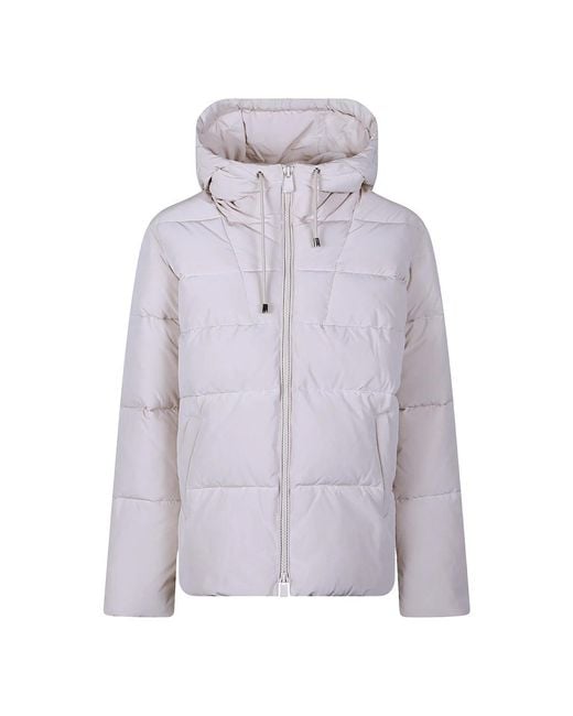 Winter Jackets Pinko de color Purple