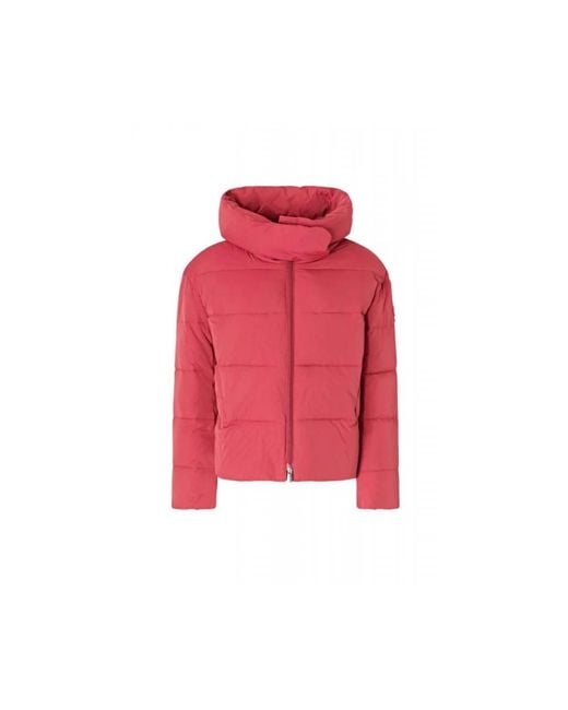 Winter Jackets Pinko de color Red