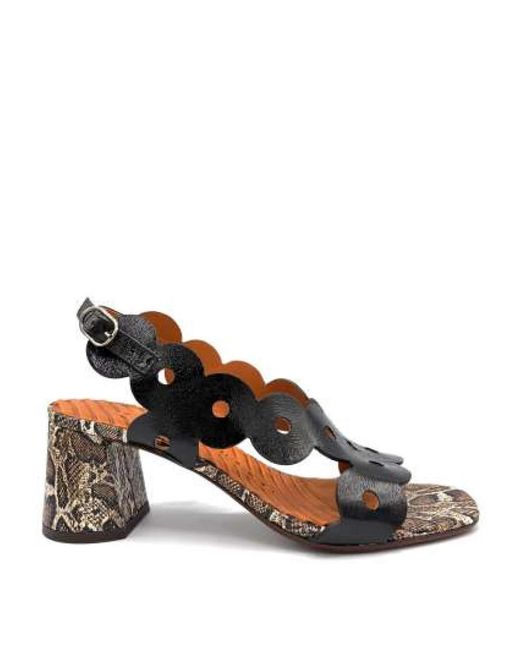Chie Mihara Ryed Sandal in het Black