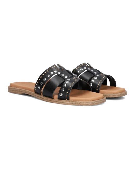 Notre-v Brown Slider