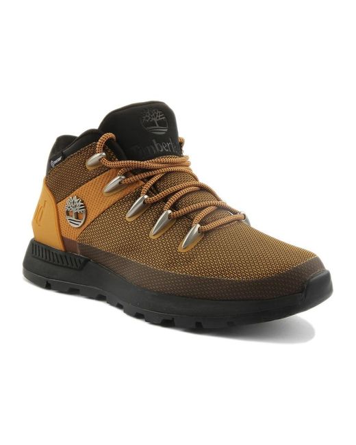 Timberland Brown Lace-Up Boots for men