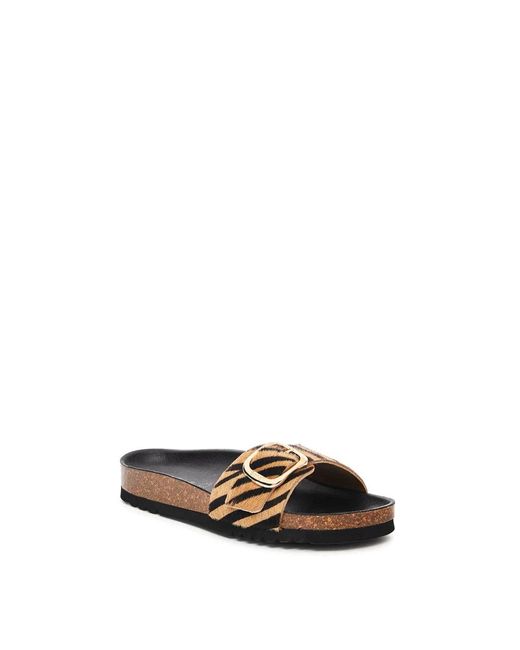 Scholl Brown Sliders