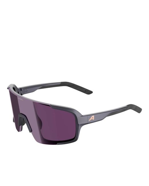 Alpina Lumin in het Purple