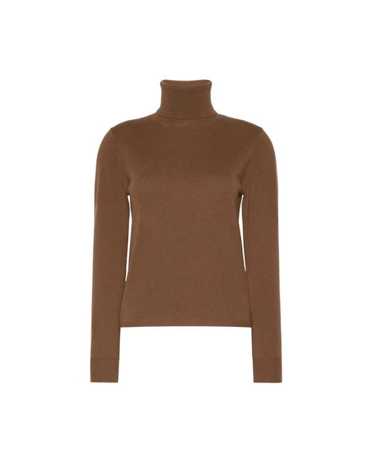 Max Mara Educata Turtleneck in het Brown