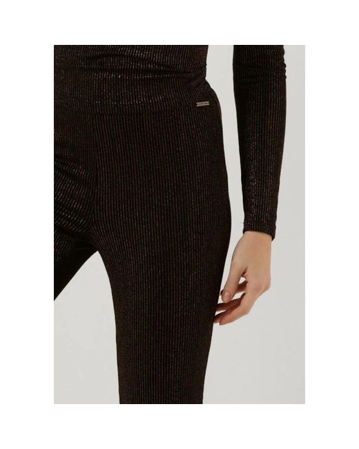 Colourful Rebel Black Metallic Stripe Flare Hose