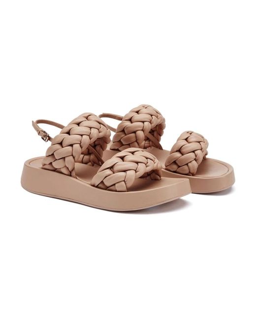 Ash Brown Flat Sandals