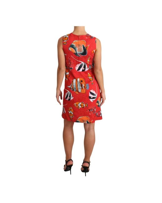 Robe courte sans manches à imprimé poisson rouge Dolce & Gabbana en coloris  Rouge | Lyst
