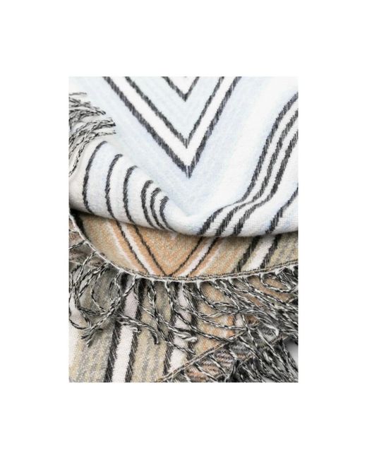 Missoni Gray Winter Scarves