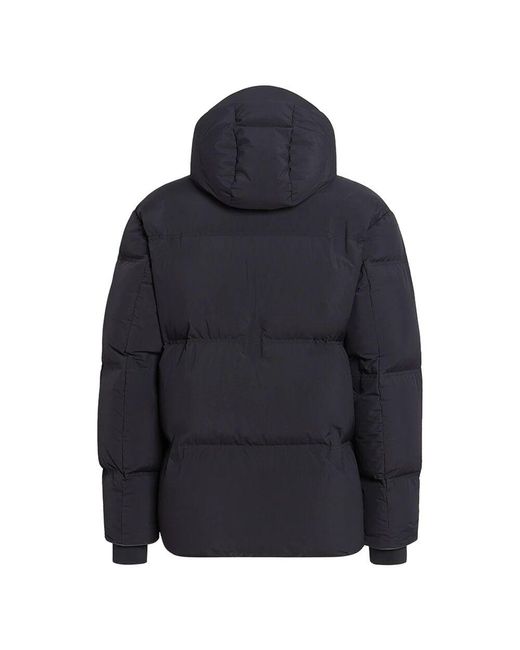 Zegna Blue Down Jackets for men
