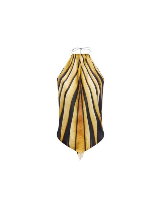 Roberto Cavalli Metallic Sleeveless Tops