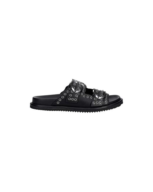 Blauer Black Bloom02 Slides