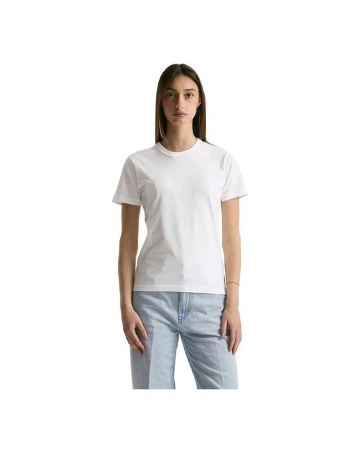Grifoni Gray T-Shirts