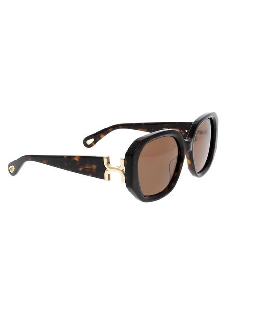 Chloé Brown Sunglasses