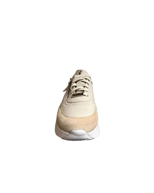 Footnotes Footnotes in het White