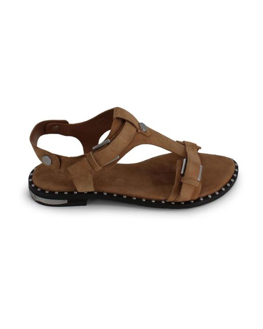 Ash Brown Flat Sandals