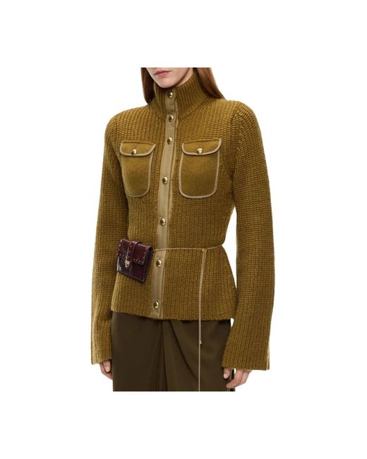 Pinko Pispiglio Cardigan in het Green