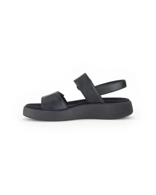 Gabor Blue Wedges