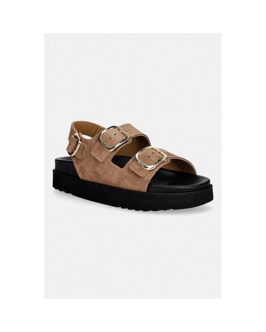 Flat Sandals di Scholl in Brown