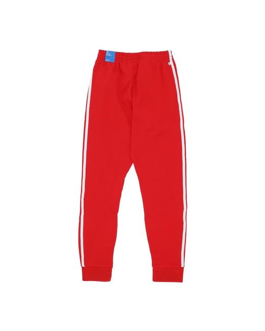 Training Trousers di Adidas in Red da Uomo