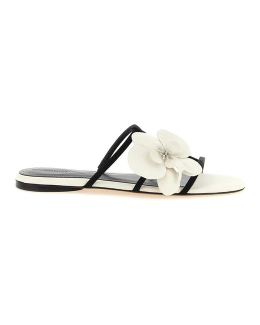 Zimmermann Multicolor Sliders
