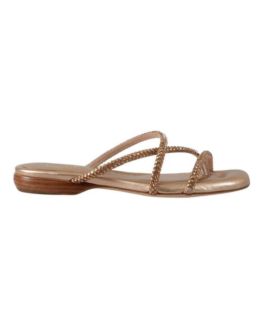 Sliders Ash en coloris Brown