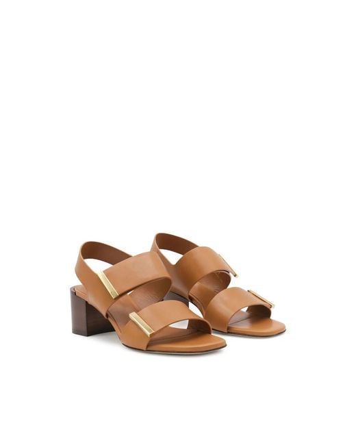 Tod's Brown Shoes