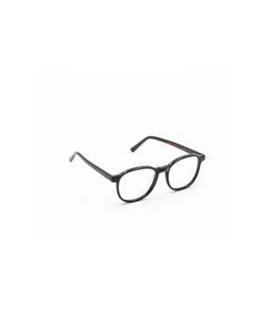 Moli Limo Black Glasses