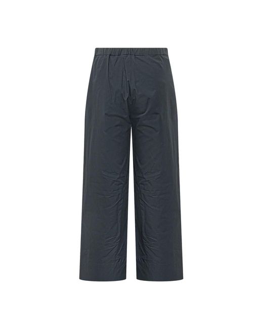 Max Mara Blue Wide Trousers
