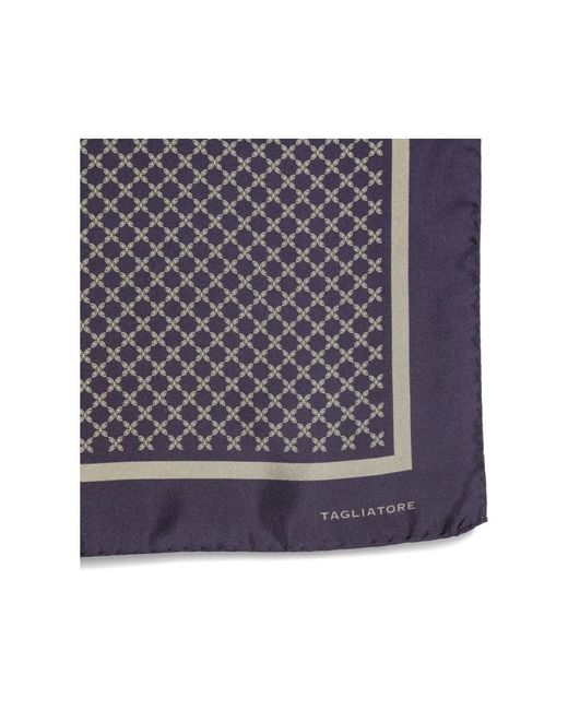 Tagliatore Gray Silky Scarves for men