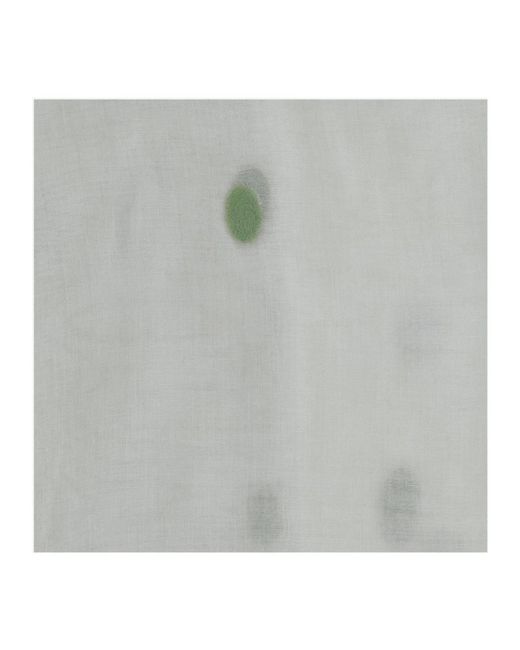 Faliero Sarti Gray Scarves