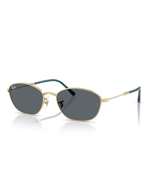 Ray-Ban Gray Sunglasses