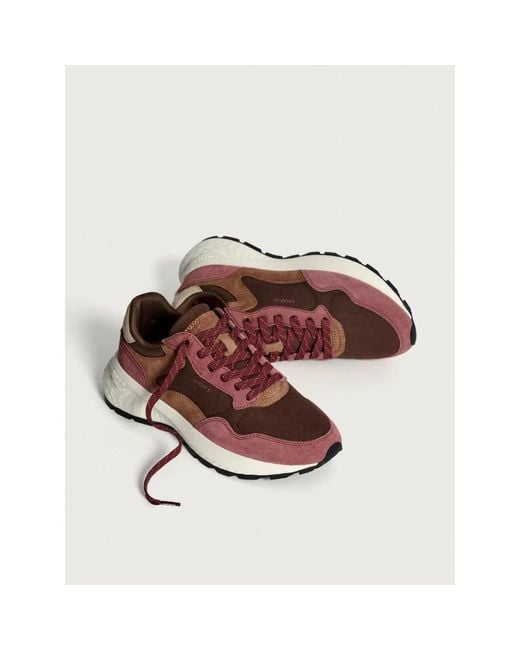 HOFF Brown Sneakers