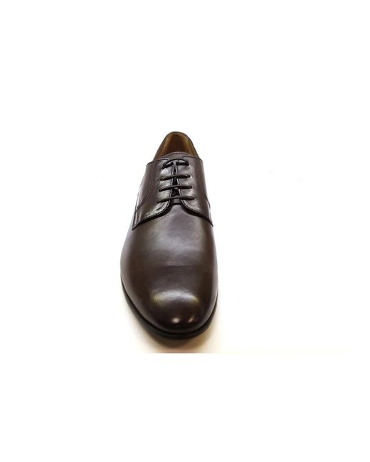 Lottusse Brown Business Shoes for men