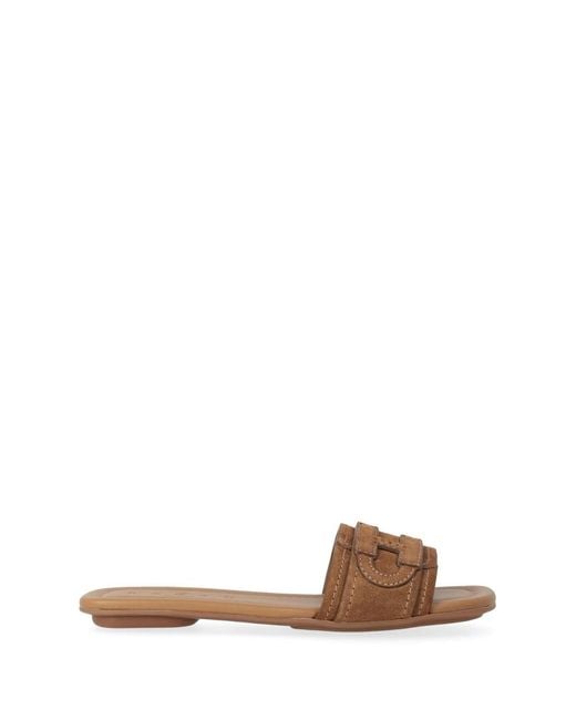 Hogan Brown Sliders