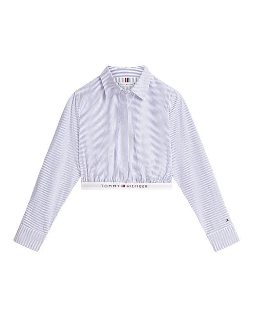Tommy Hilfiger Purple Shirts