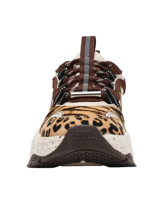Steve Madden Multicolor Animates-Le Trainers