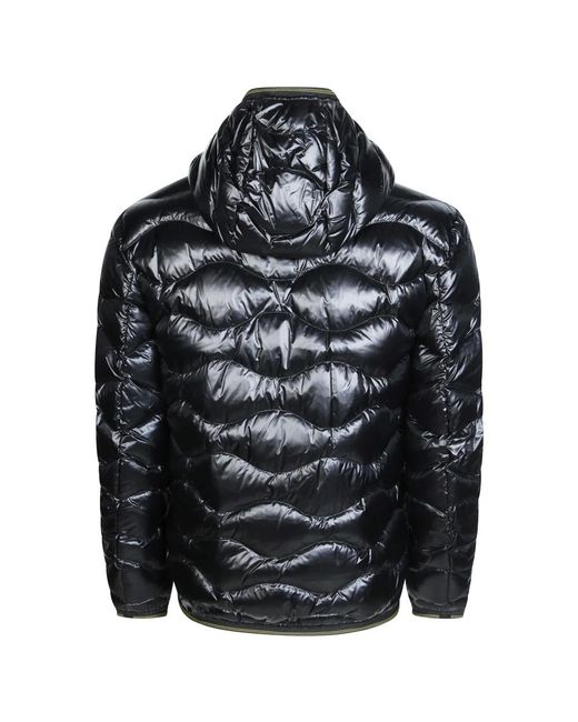 Winter Jackets di Blauer in Black da Uomo